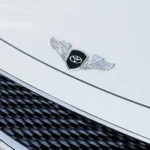 Car Toyota Eagle Bonnet Logo Metal Body - Image 2